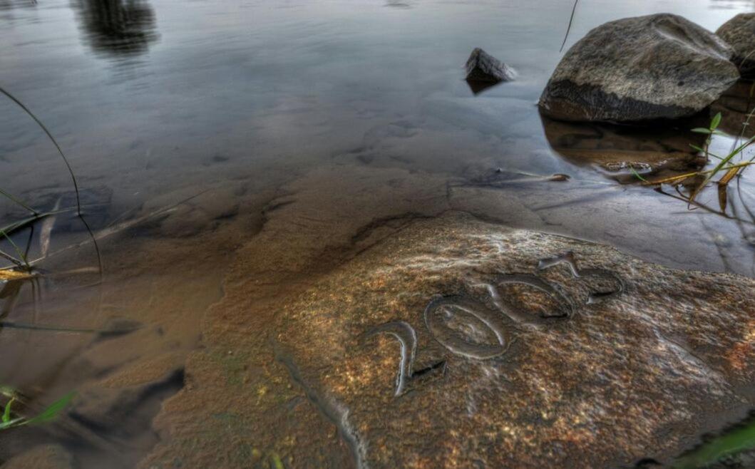 Schmidtalien Schlemmen Und Schlummern Dommitzsch Dış mekan fotoğraf